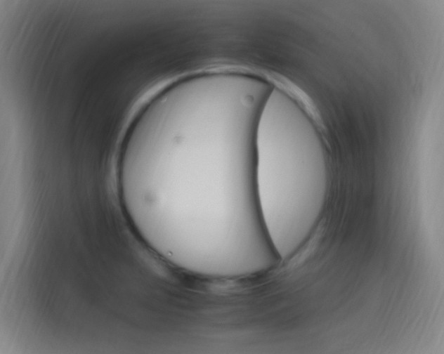 X0000114171231200910081107
