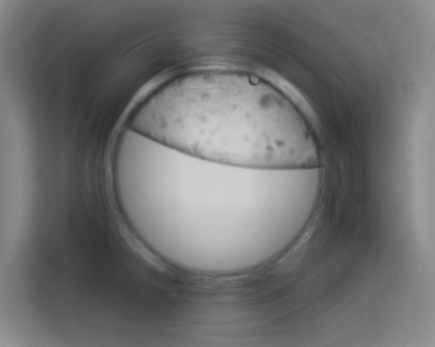 X0000114171238200910081107