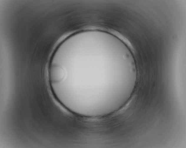 X0000114171239200910081107