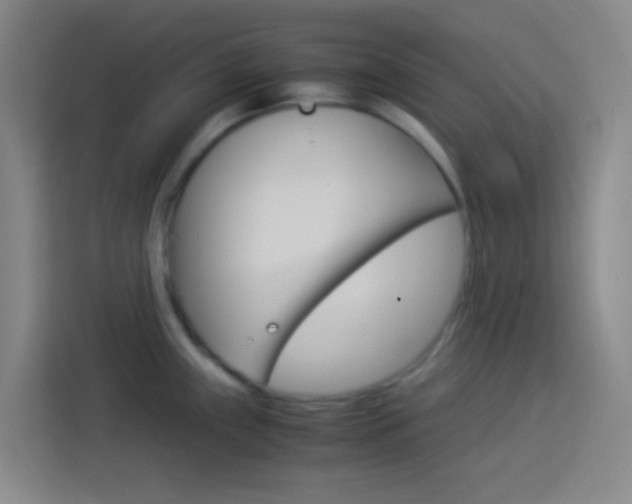 X0000114171243200910081107