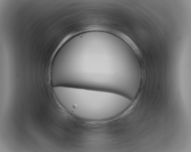 X0000114171244200910081107