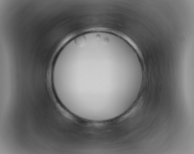 X0000114171245200910081107