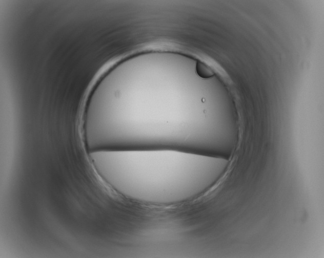 X0000114171248200910081107