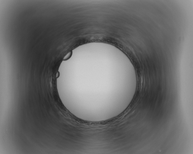 X0000114171250200910081106