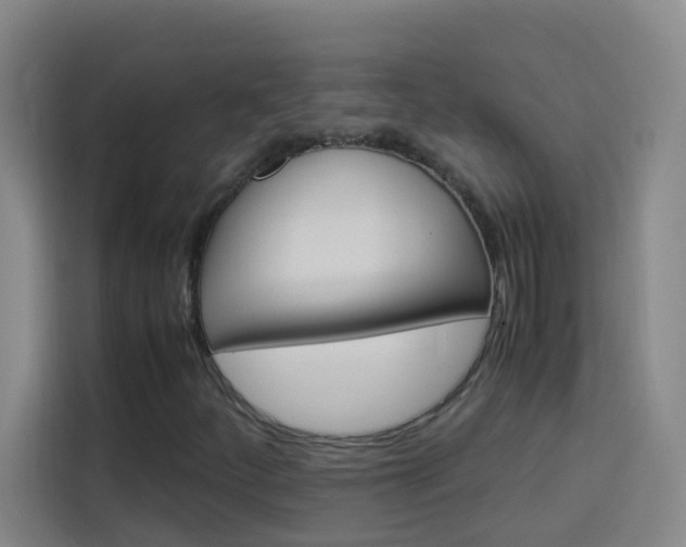 X0000114171252200910081106