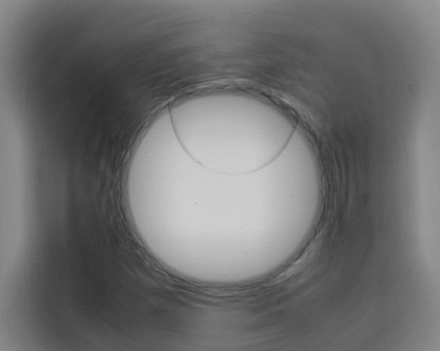 X0000114171257200910081106