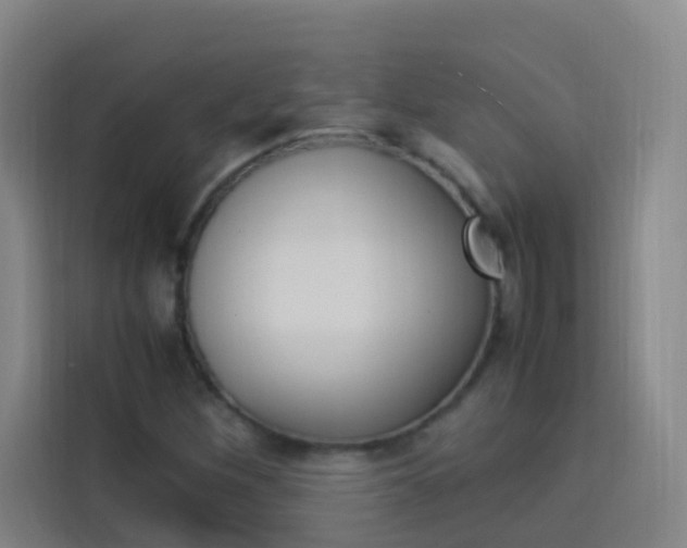 X0000114171260200910081106
