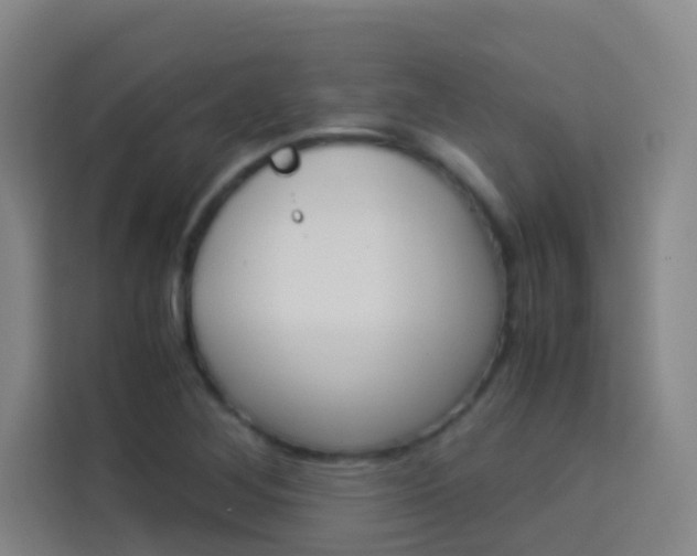 X0000114171268200910081106