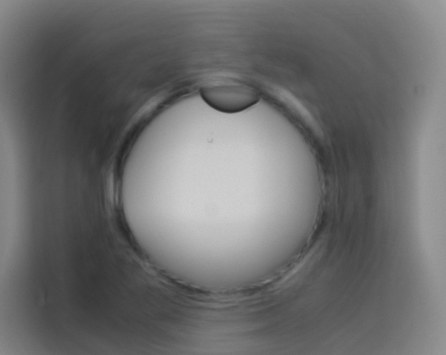 X0000114171269200910081106