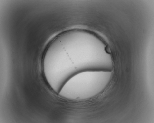 X0000114171271200910081106