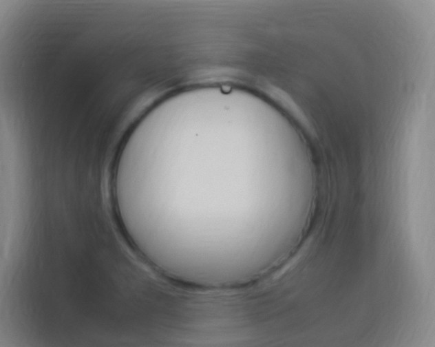X0000114171277200910081106
