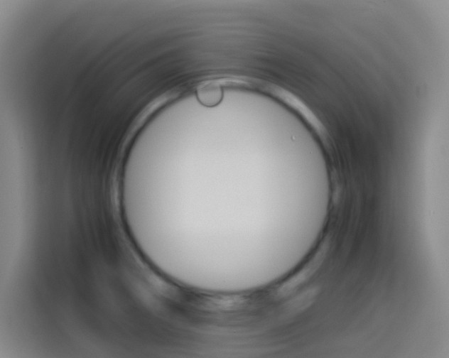 X0000114171282200910081106