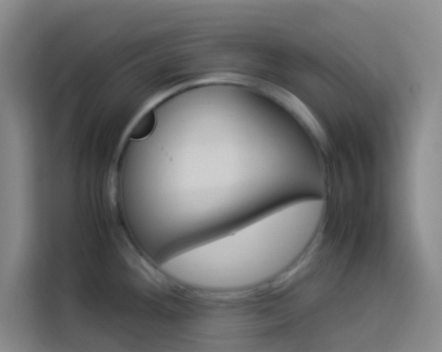 X0000114171292200910081106