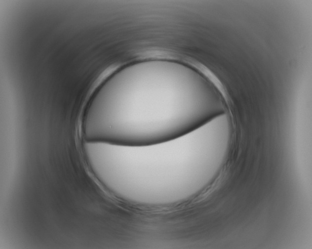 X0000114171293200910081106