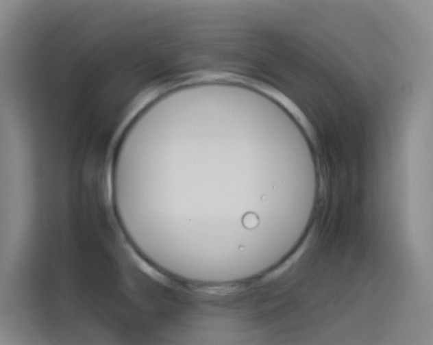 X0000114171294200910081106