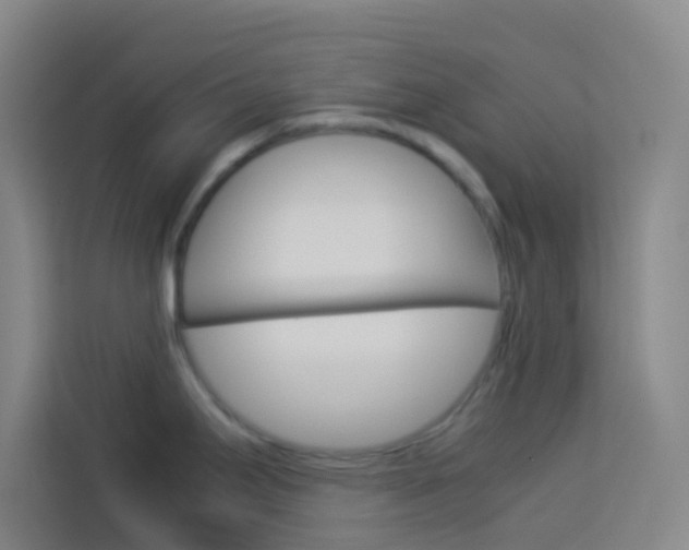 X0000114171295200910081106