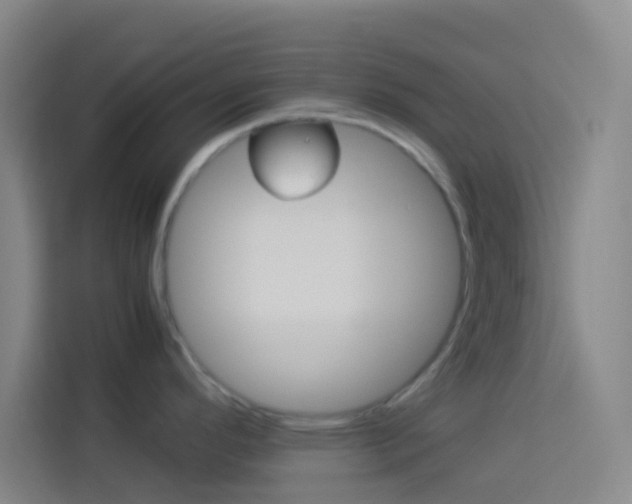 X0000114171296200910081106