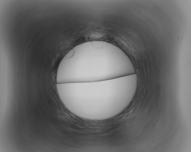 X0000114171299200910081105