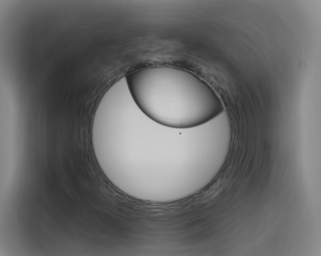 X0000114171300200910081105