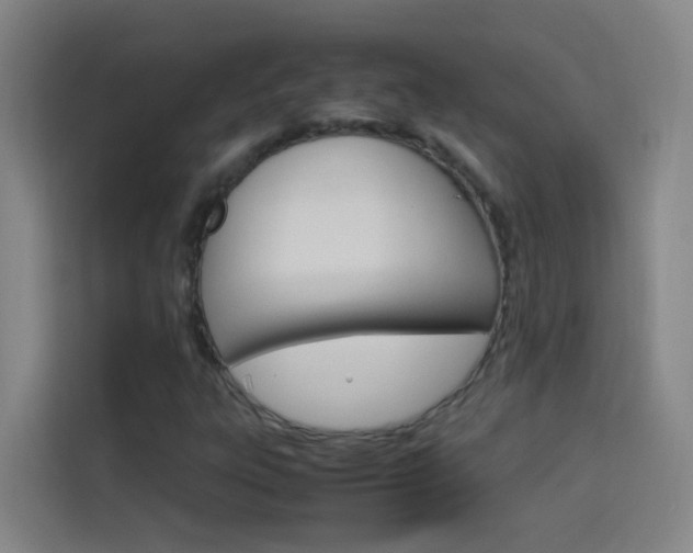 X0000114171303200910081105
