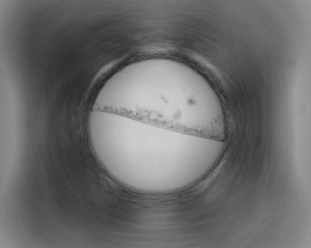 X0000114171306200910081105