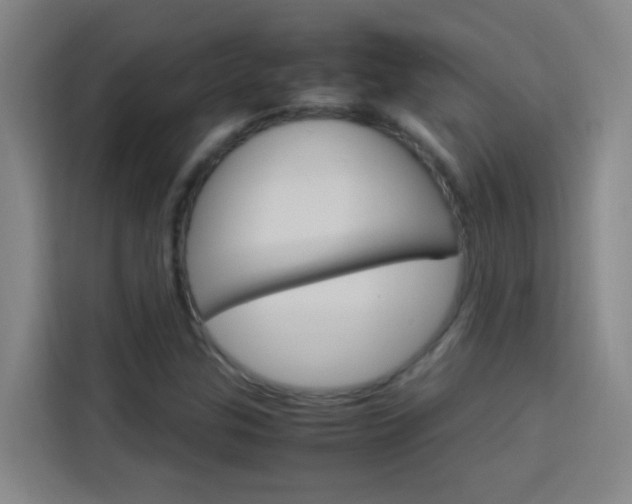 X0000114171307200910081105