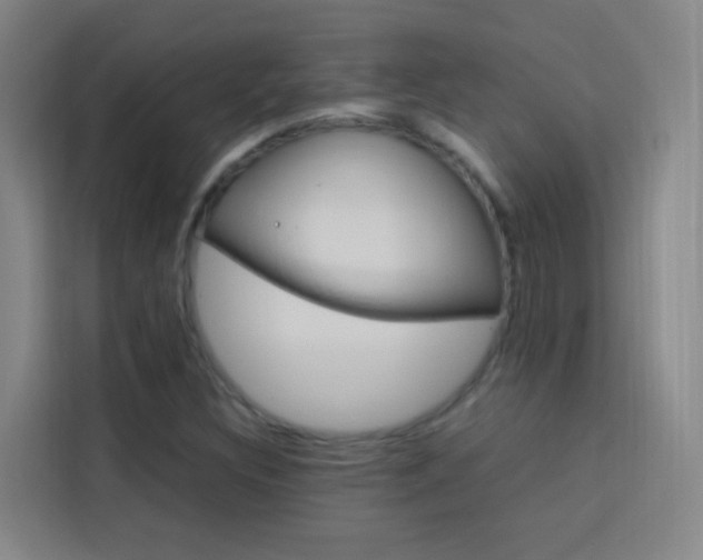 X0000114171308200910081105