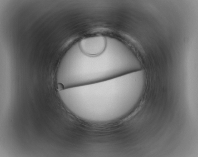 X0000114171313200910081105
