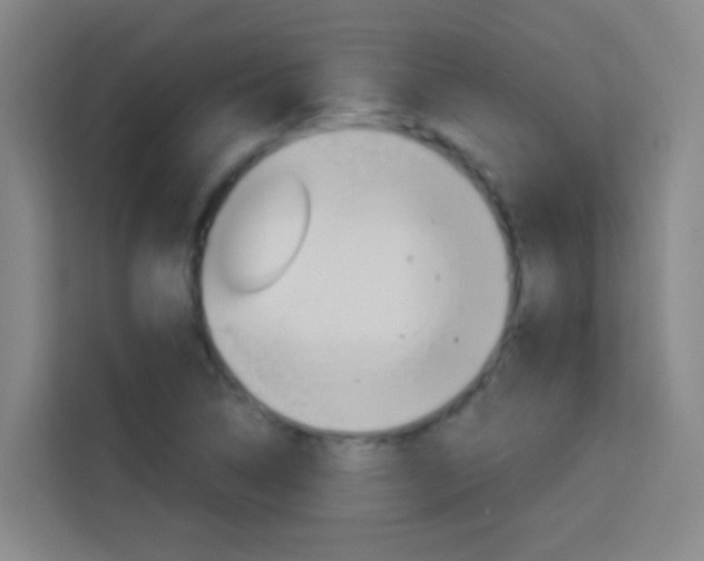 X0000114171314200910081105