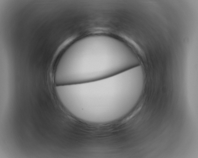 X0000114171317200910081105
