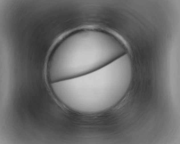 X0000114171327200910081105