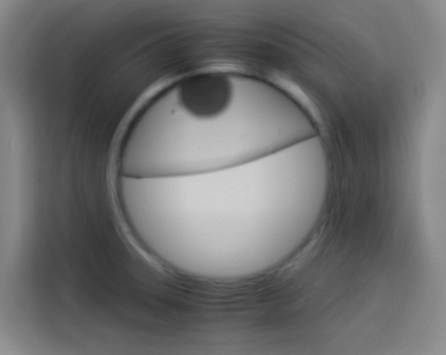 X0000114171331200910081105