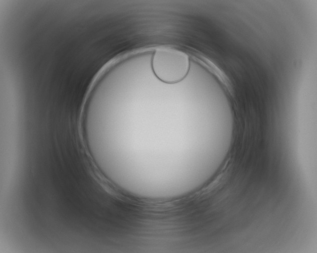 X0000114171332200910081105