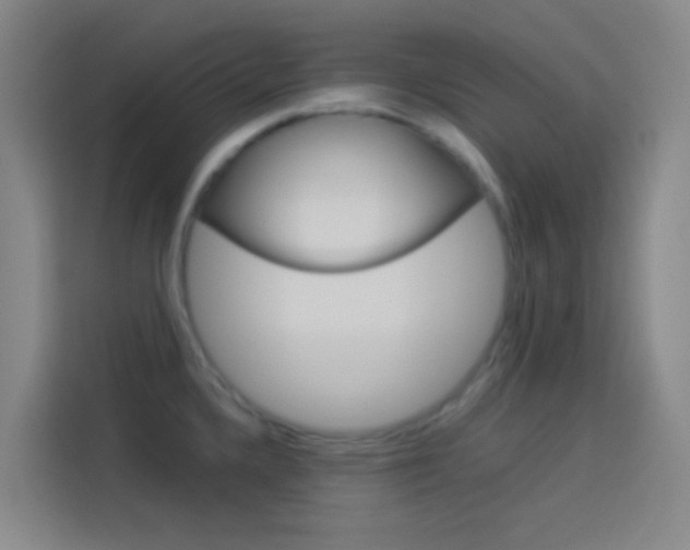 X0000114171336200910081106