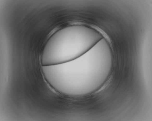 X0000114171337200910081106