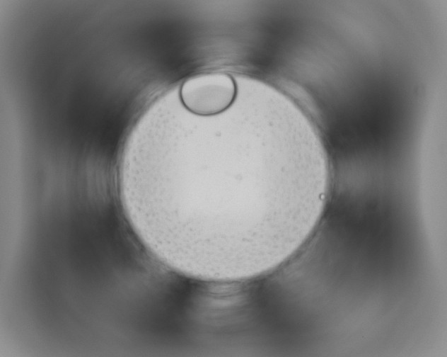 X0000114171338200910081106