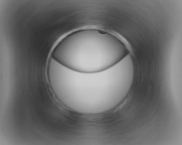 X0000114171340200910081106
