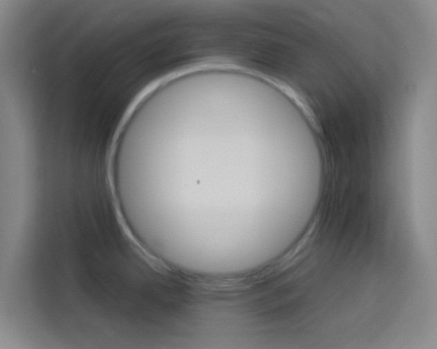 X0000114171342200910081106
