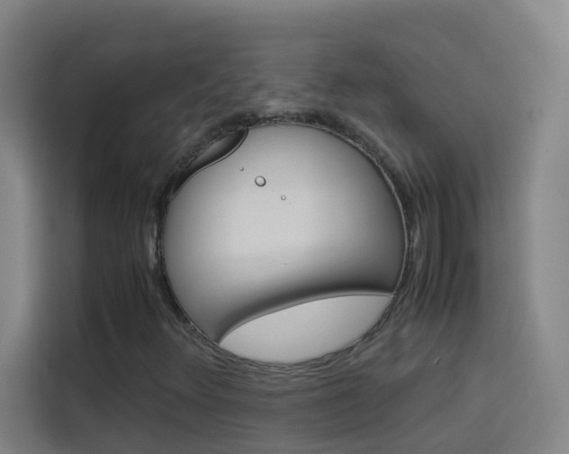 X0000114171348200910081105