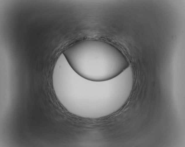 X0000114171349200910081105