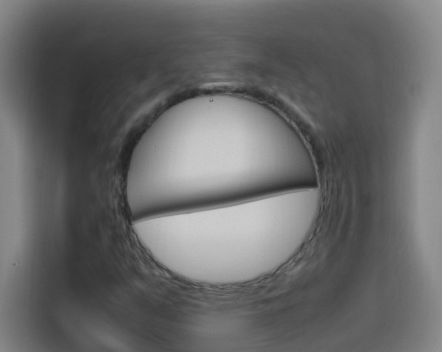 X0000114171351200910081105