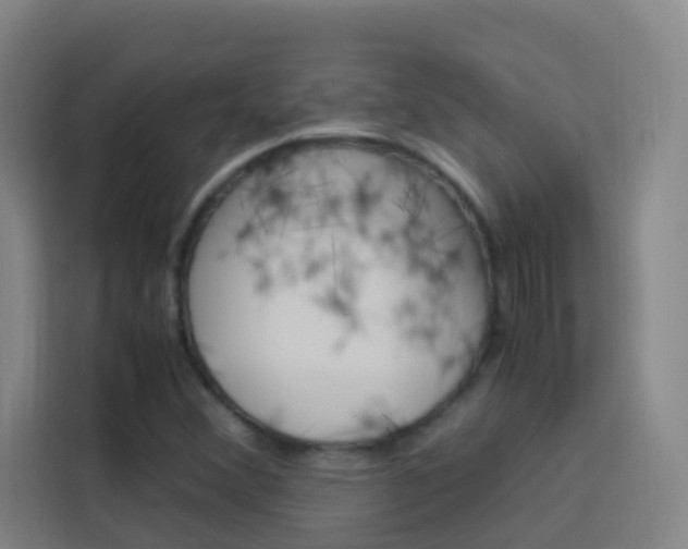 X0000114171356200910081105