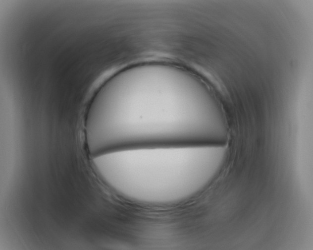 X0000114171363200910081105