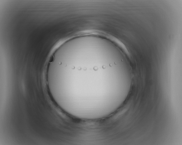 X0000114171373200910081105