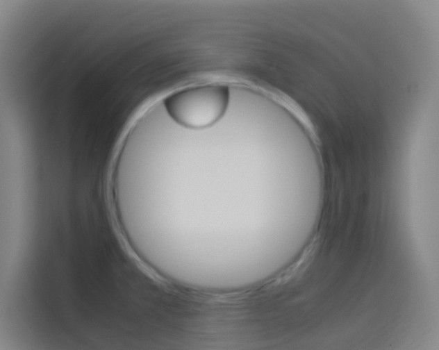 X0000114171381200910081105