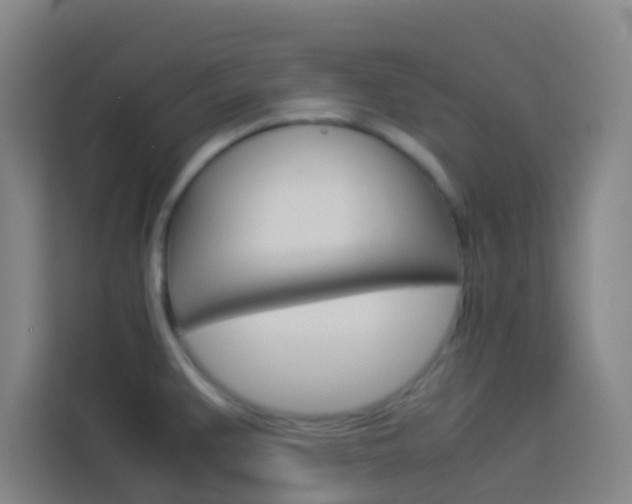 X0000114171383200910081105