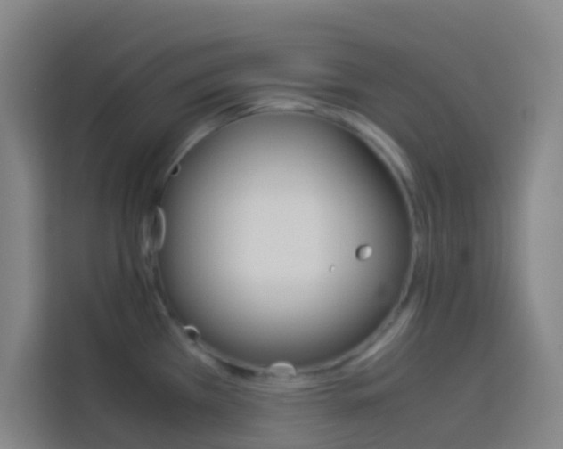 X0000114171385200910081105