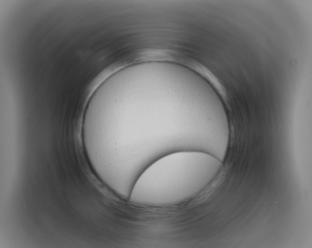 X0000114171386200910081104