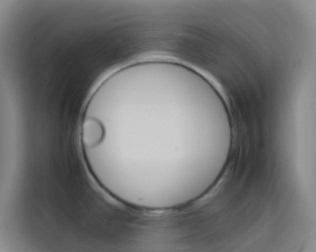 X0000114171390200910081104