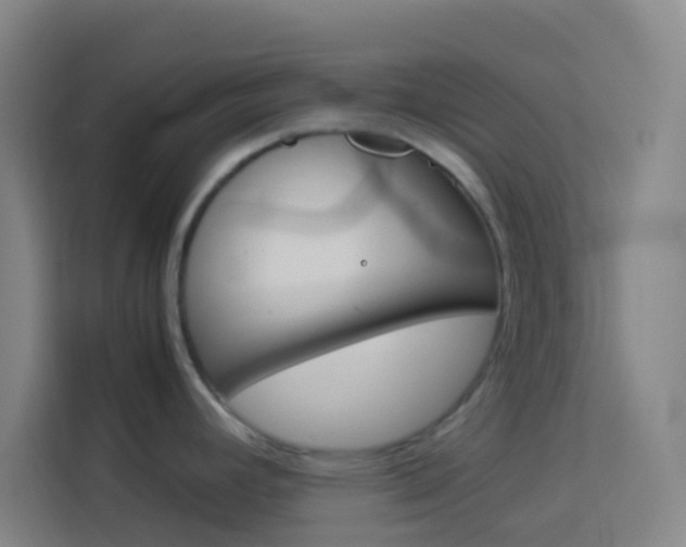 X0000114171392200910081104